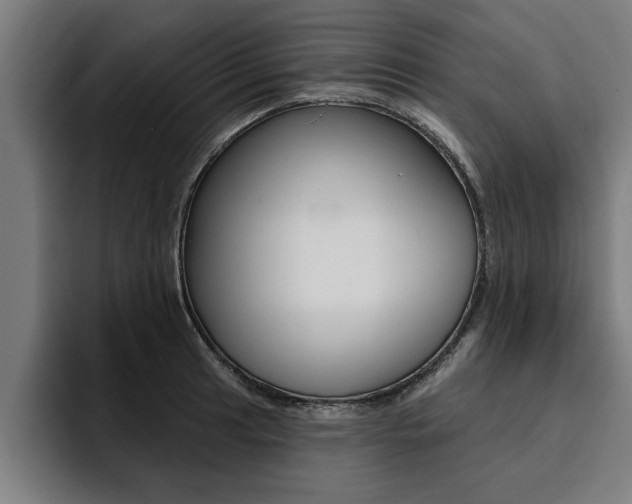 X0000094421041200711080955