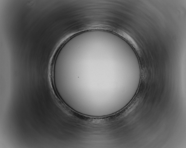 X0000094421043200711080955