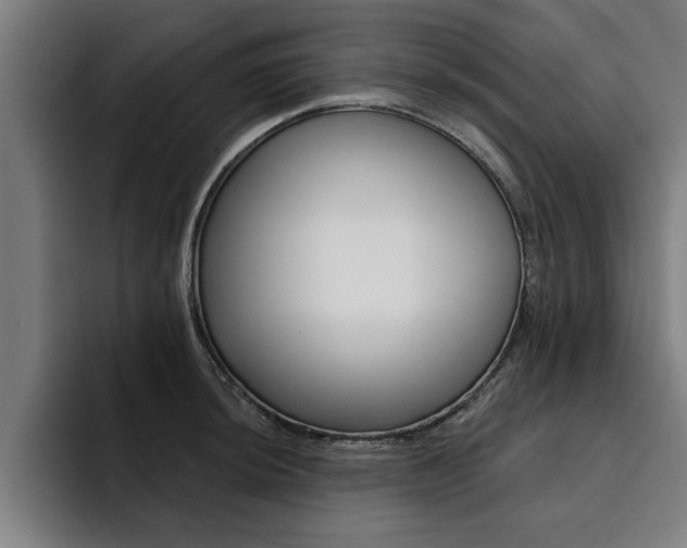 X0000094421044200711080955