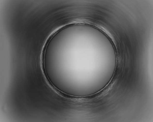 X0000094421045200711080955