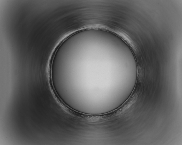 X0000094421046200711080955