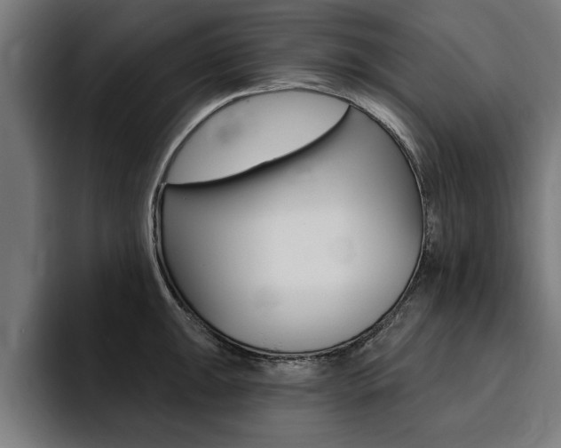 X0000094421047200711080955