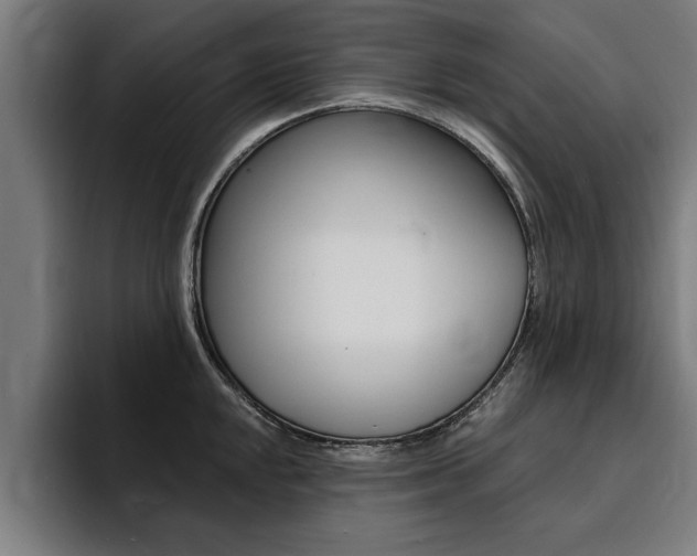 X0000094421048200711080955