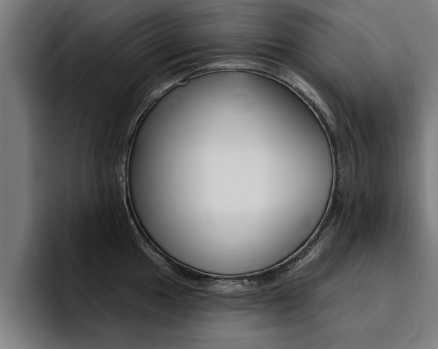 X0000094421049200711080955