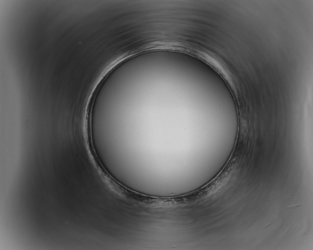 X0000094421050200711080955
