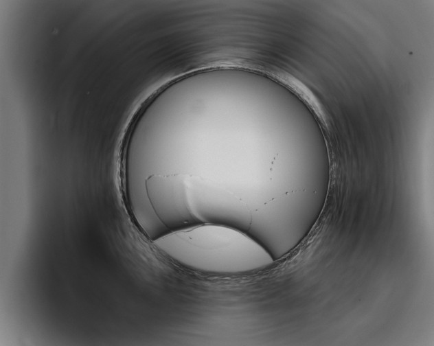X0000094421051200711080955