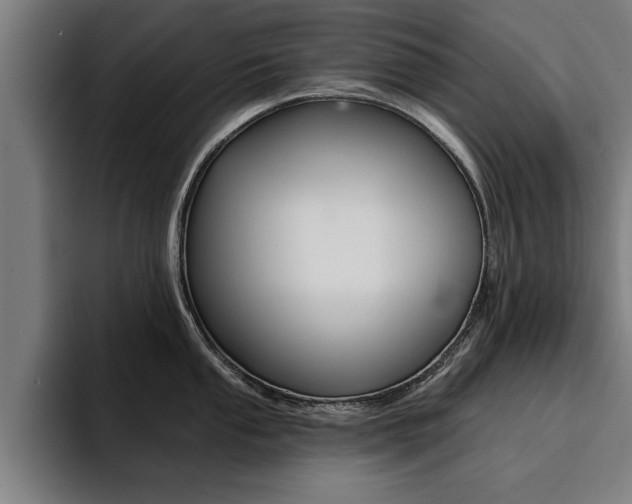 X0000094421053200711080955
