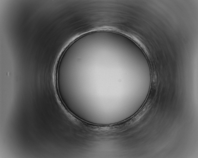 X0000094421054200711080955