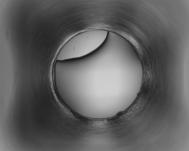 X0000094421055200711080955