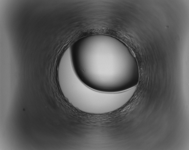 X0000094421057200711080954