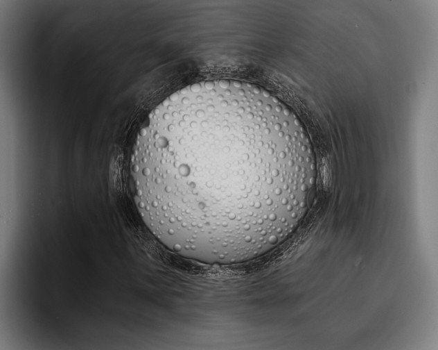 X0000094421059200711080954