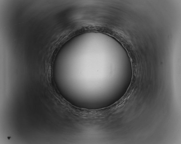 X0000094421061200711080954