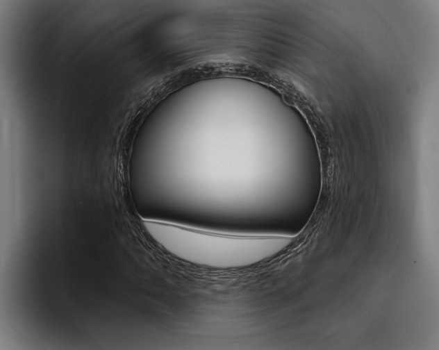 X0000094421062200711080954
