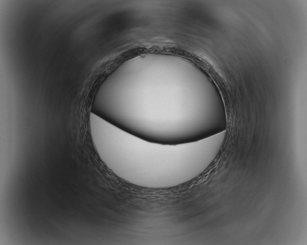 X0000094421063200711080954