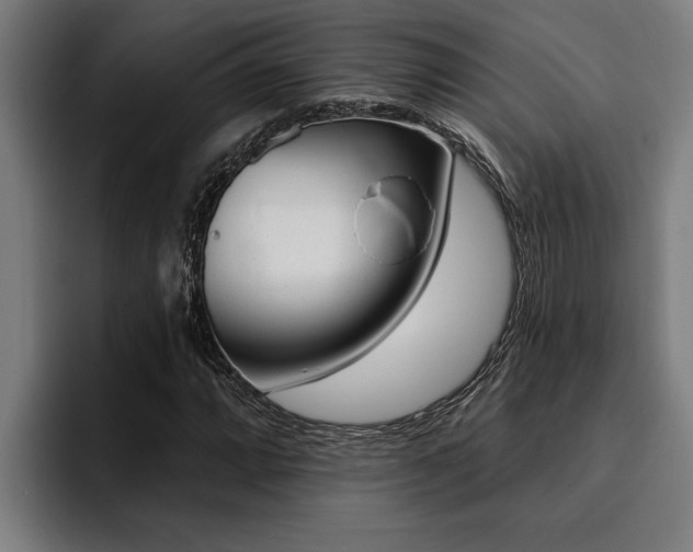X0000094421064200711080954