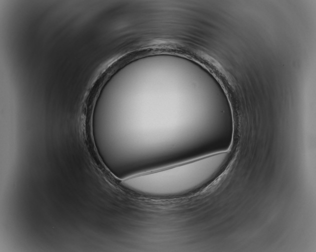 X0000094421066200711080954
