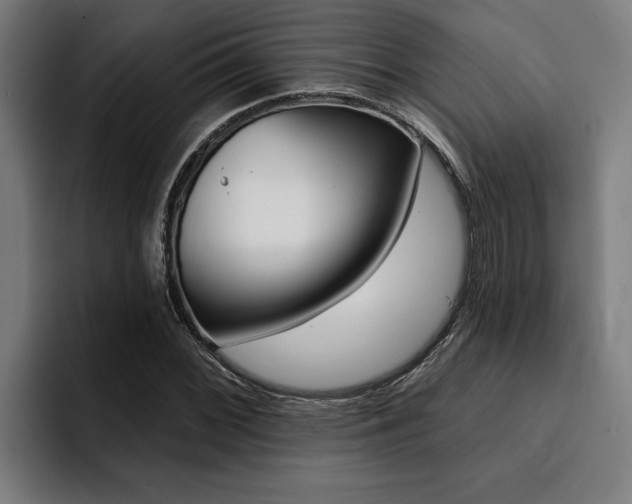 X0000094421068200711080954