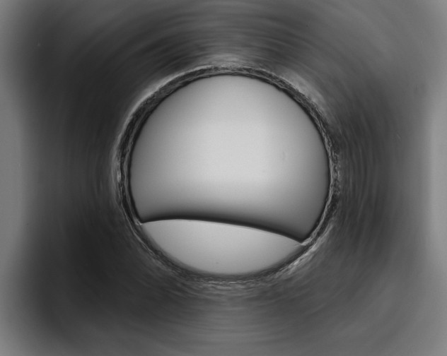 X0000094421070200711080954