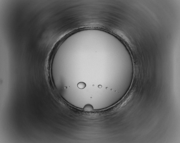 X0000094421071200711080954