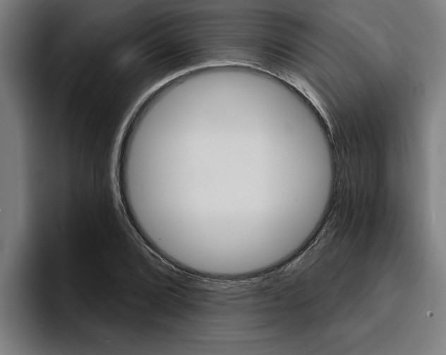 X0000094421072200711080954