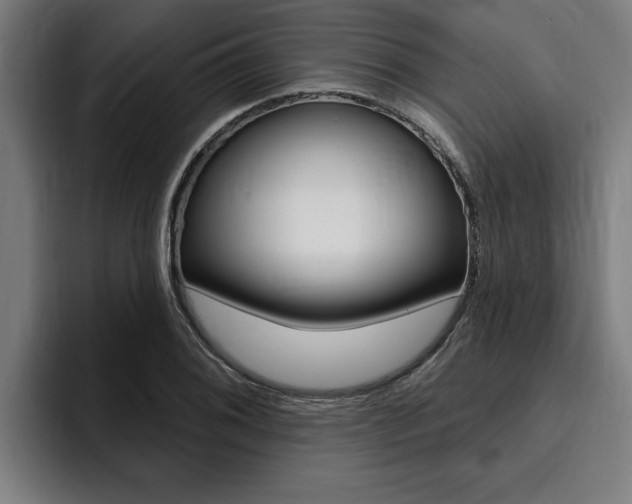 X0000094421076200711080954