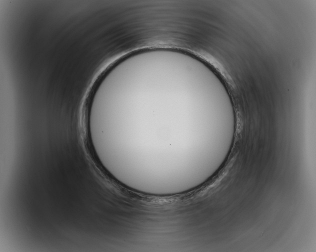X0000094421078200711080954