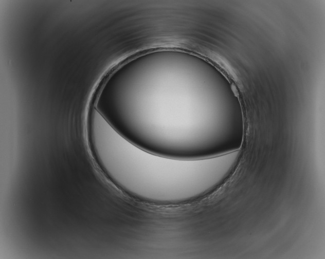 X0000094421080200711080954