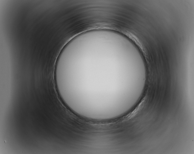 X0000094421081200711080954