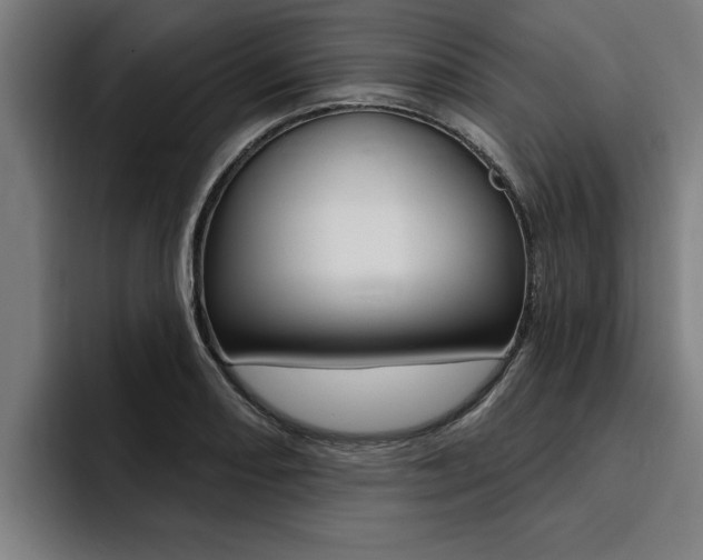X0000094421082200711080954