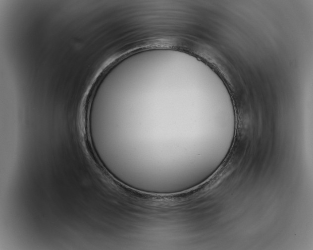 X0000094421083200711080954