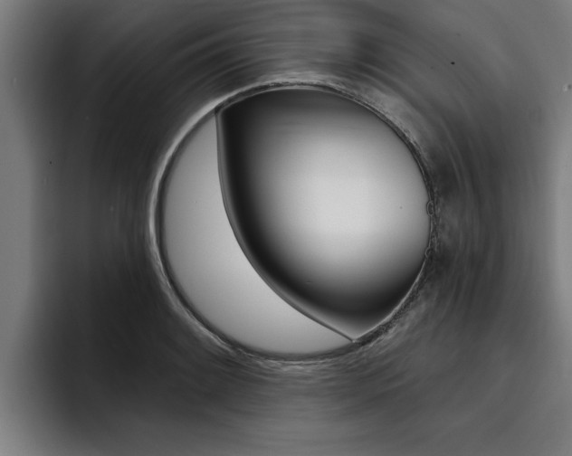 X0000094421084200711080954