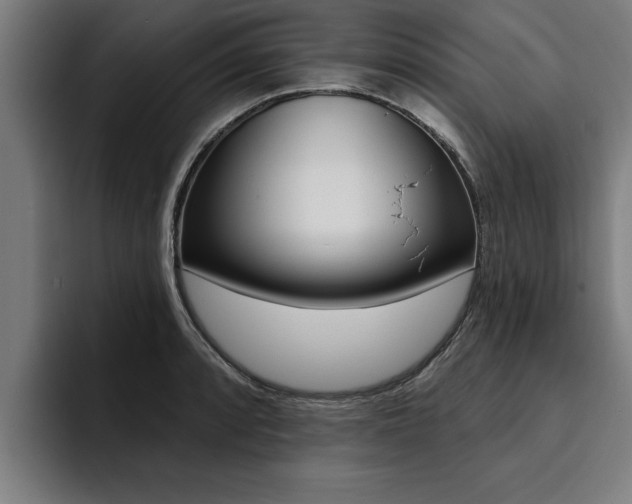 X0000094421088200711080954