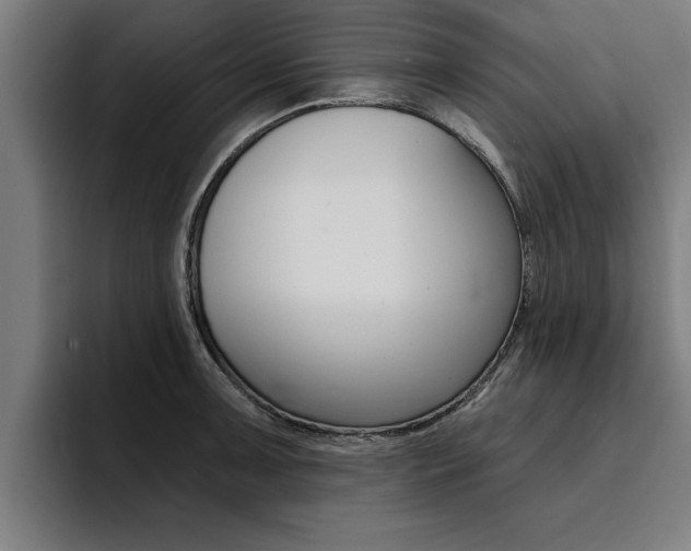 X0000094421091200711080954