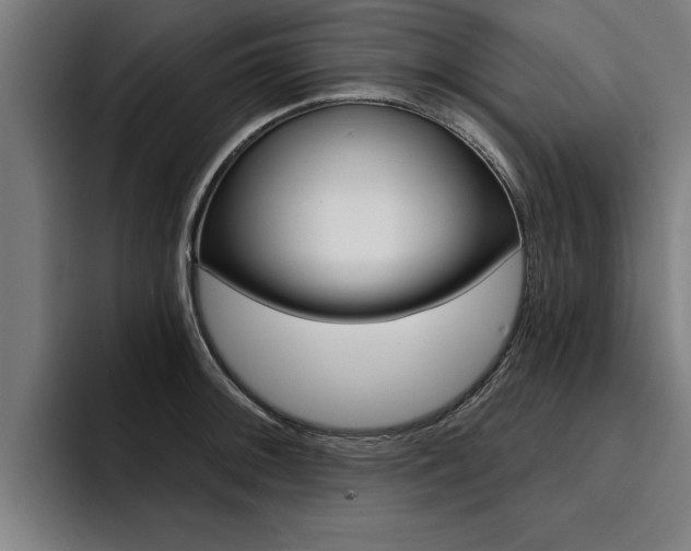 X0000094421092200711080954