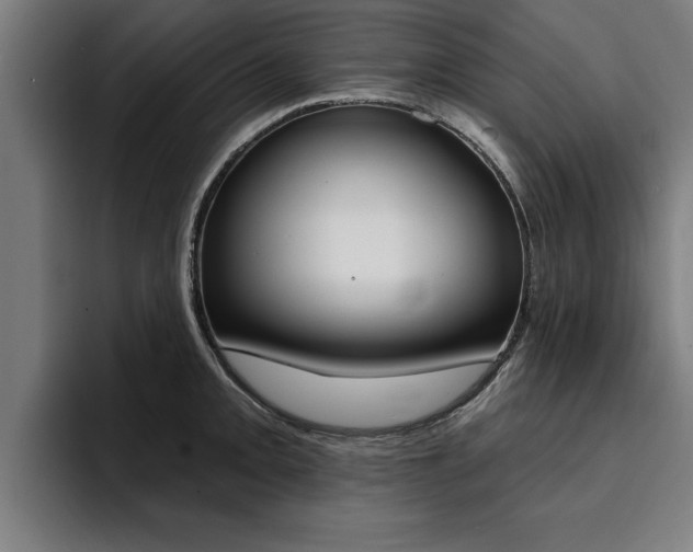 X0000094421093200711080954