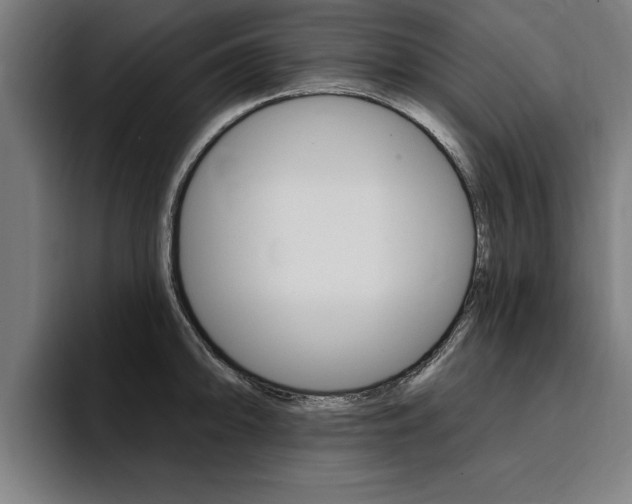 X0000094421094200711080954