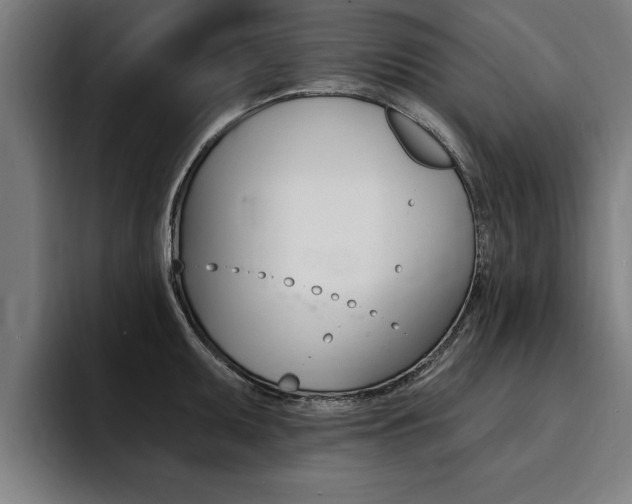 X0000094421095200711080954