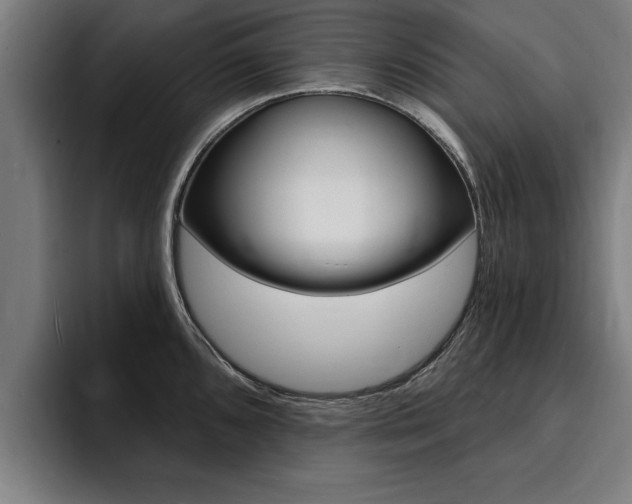 X0000094421096200711080954