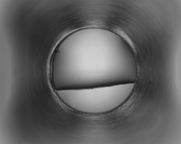 X0000094421099200711080954