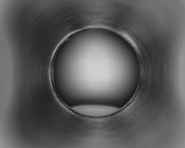 X0000094421100200711080954