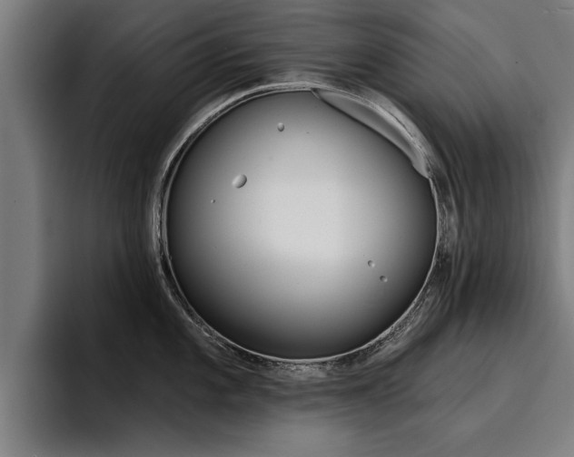 X0000094421101200711080954