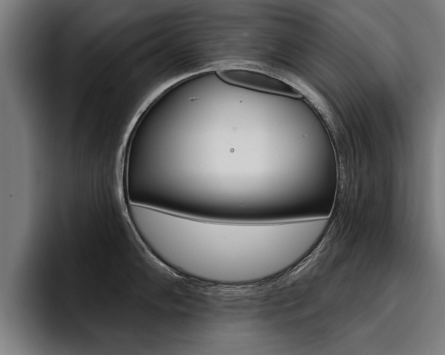 X0000094421102200711080954
