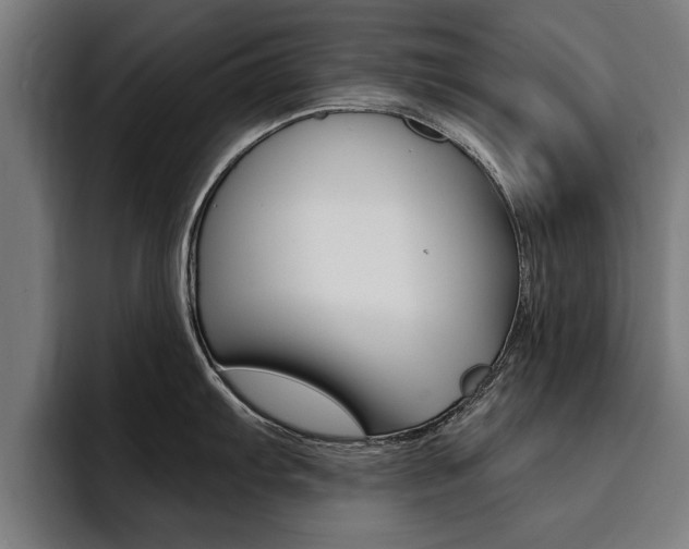 X0000094421103200711080954