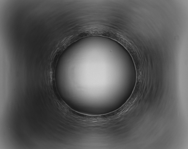 X0000094421108200711080953