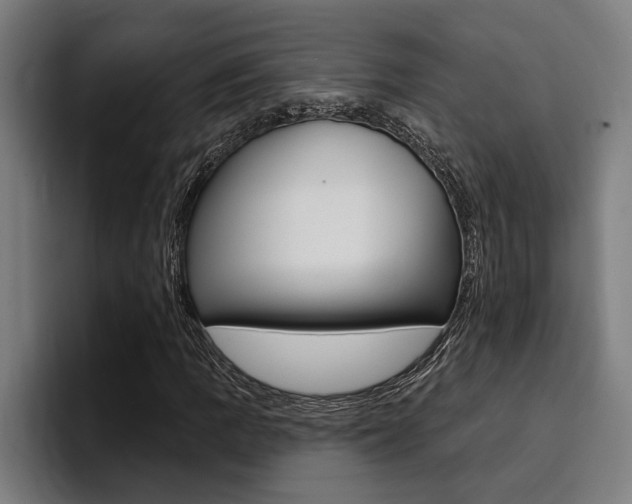 X0000094421109200711080953