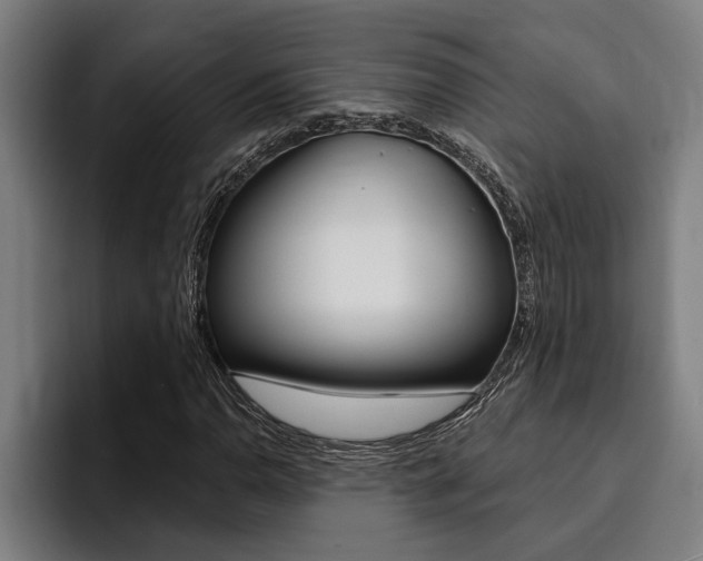 X0000094421110200711080953
