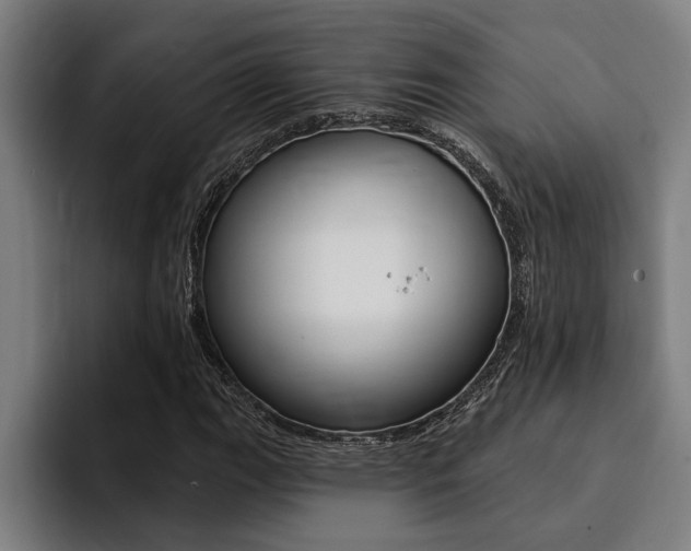X0000094421111200711080953