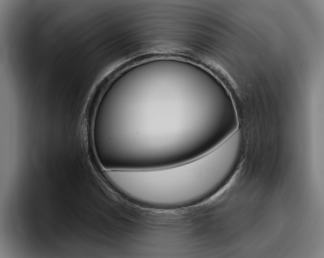 X0000094421114200711080953