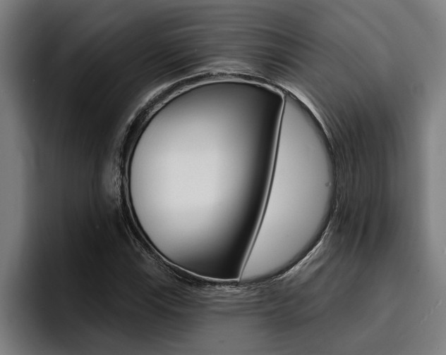 X0000094421115200711080953