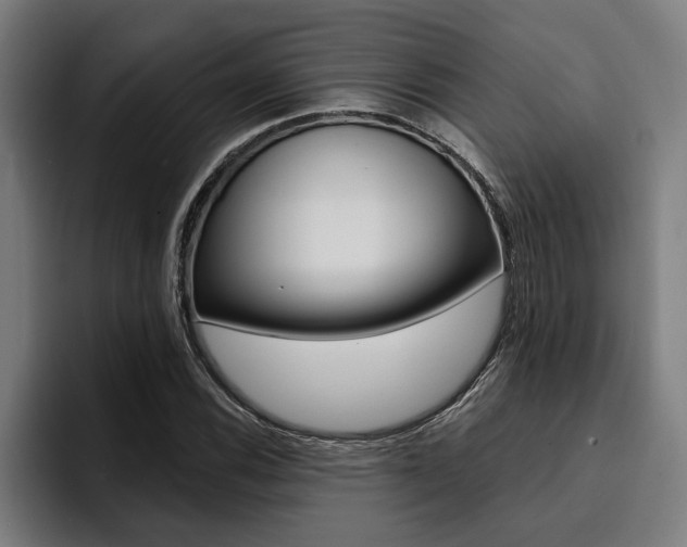 X0000094421116200711080953